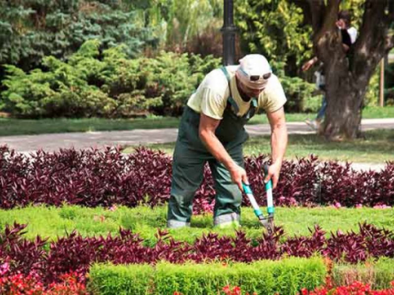 jardineria