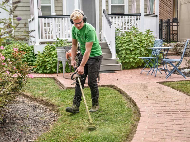 Limpieza de jardines en Valladolid